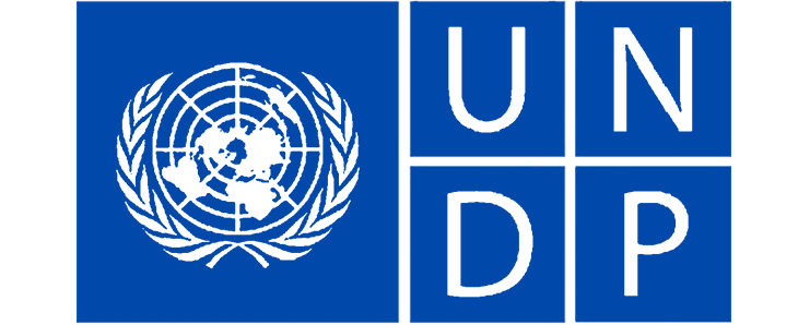 undp logo new